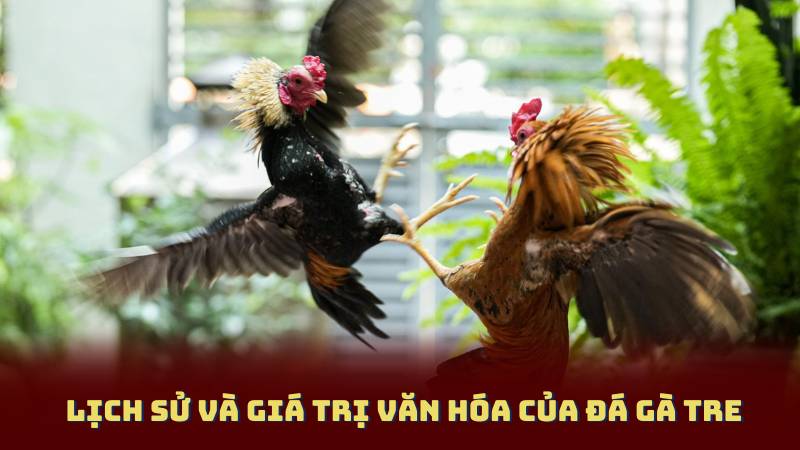 Lịch sử và giá trị văn hóa của Đá Gà Tre